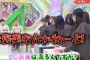 欅坂46キャプテン菅井友香の不用意な発言でハライチ澤部さんがど正論でガチキレｗｗ【欅って、書けない?】