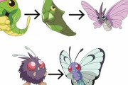 ポケモンのバタフリーとモルフォンが入れ替わった説ってマジだよな