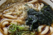お前らうどんのトッピング何が好き？