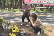 折れた松の木が胸を貫き…奪った11歳の命「行政のずさんさが招いた事故」母が初めて証言台に「虹の松原」事故訴訟　佐賀