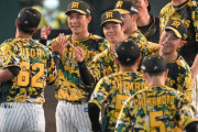 【勝ち】阪神ファン集合【19安打13得点】7/13