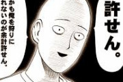 【ワンパンマン】サイタマって能力的に一方通行に勝てんよな？？？？？？？？？？？