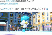 【ポケモンSV】アニポケに登場する「ドットのクワッス」をあいことばで配信開始！