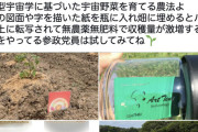 【朗報】参政党 神谷さん絶賛の「宇宙野菜を育てる農法」が画期的過ぎるｗｗｗｗ