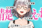 Vtuber 【白銀ノエル】これもう実質キッズに英語教える教育番組だよな？ｗｗｗｗｗｗｗ