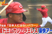 カープ育成ラミレス、紅白戦で弾丸ライナー2ラン！新井監督｢バティスタと同じぐらいの力」