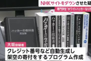 専門学生(21)、無限に架空寄付するプログラムを作りNHKのウェブサイトをダウンさせてしまう