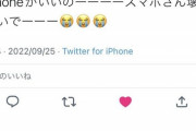 【悲報】貧困系女さん「iPhone高すぎ…でもAndroidはちょっと…」←どうする？