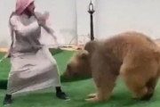 【動画】アラブの男性、熊と戯れてしまう