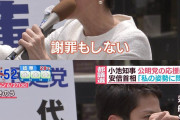 立民・水岡代表　中道の交付金受給「コメントしないでおく」