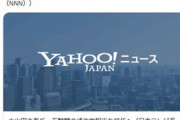 【炎上】小山田圭吾の従兄弟・田辺晋太郎「正義を振りかざす皆さんの願いが叶いました、良かったですねー！」→垢削除して逃亡→製品開発を行ったヤマサに飛び火ｗｗｗｗｗ