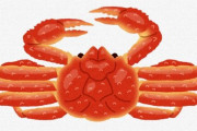 【カニ】アラスカ近海から数十億匹のズワイガニが消える ← 温暖化による餓死だったことが判明　米海洋大気局（ＮＯＡＡ）