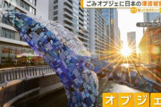 【悲報】イギリス人「津波のゴミでアート作ったよ」日本人「ギャオオオオオオオオン！！」