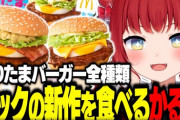 【VTuber】かるびの新作食レポ上がってるやん『マック新作てりたまバーガーを食べ比べ』