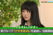 【日向坂46】このサプライズ発表から8年...【ひらがなけやき 新参者】