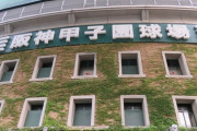 甲子園のある西宮市民「やったー！甲子園中止になったー！」