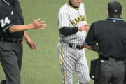 阪神ファン「全部審判が悪い！！」←これｗｗｗｗｗｗ