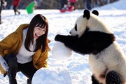 中国人「まもなく冬到来。雪の北海道の渾身の写真をあげていこう」　中国人「本当にロマンチック」「今すぐ北海道に飛んで行きたい！」
