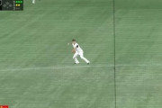 【GIF】巨人のショート・廣岡の守備wwwww