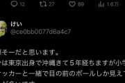 【悲報】港区女子「沖縄の職場は小学生のサッカーみたい」