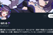 【悲報】Vtuberオタクさん、Vtuberに惚れられていると勘違いして恋人ヅラして困らせてしまう