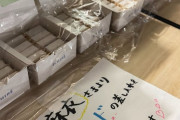 白石麻衣の差し入れが「これは間違いない」３８９円のスイーツ大量！「絶対おいしいやつ」「センスいい」と話題