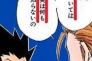 【ハンターハンター】結局ゴンの母親って誰なの？？？