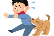 インド最高裁「狂犬病が流行っているので政府は全野良犬100万匹を収容しろ」