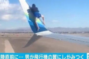 【画像】飛行機にタダ乗りしようとした男、逮捕される