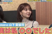 【日向坂46】親子丼マスターでダメOLだった山下葉留花、色々ぶっ込むw【有吉ぃぃeeeee!】
