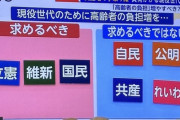 【衆議院選挙】一目でわかる『現役世代の為に政治』をやってくれる政党