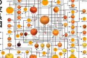 みかんの家系図作ったｗｗｗｗｗｗｗｗｗｗｗｗｗｗｗｗｗｗｗ