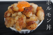 【画像】理想のホルモン丼