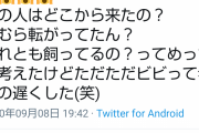 ワイ（文系）卒論「背中に付いたカマキリを指摘される頻度調査」