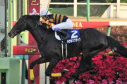 【悲報】ノーザンと社台　キタサンブラック受胎牝馬を放出しまくる
