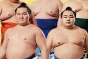 【画像】大相撲の力士、筋肉の塊だった