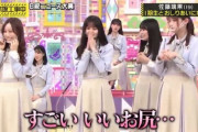 【乃木坂46】ミーグリで佐藤璃果に先輩たちの『お尻の感想』を聞こうとするヤツ・・・
