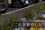 【画像】ビッグモーターさん、街路樹を燃やしていたことを白状してしまうｗｗｗｗｗｗｗｗｗ