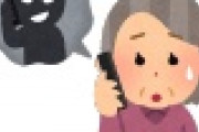 【巧妙】ニセ警官「”だまされたふり作戦”に協力して！」→85歳女性から騙し取った金額がヤバい・・・・・