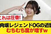 日向坂レジェンドOGの近影、むちむち度が増すw #日向坂46 #日向坂 #日向坂で会いましょう #乃木坂46 #櫻坂46