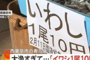大漁すぎて、『イワシ1尾10円』の大セールが行われる！（※画像あり）