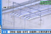 【台風19号】北陸新幹線、水没してしまう　長野車両センターが千曲川決壊で水没