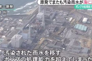 【驚愕】福島第一原発の排水路でモンスターが発見されるｗｗｗｗｗｗｗ