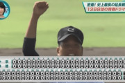 韓国人「日本高校野球、酷使した投手達を完全美化してしまう」「これが青春なら日本は狂ってるよ」