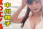 【画像】タレントの中川翔子さん、100億年ぶりに水着着用wwwwwwwww