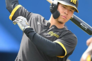 矢野阪神の集大成見せる！和製オーダー７番に陽川　ＤｅＮＡは６番藤田