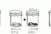 科学者（1668年）「ハエは自然発生してるのかどうか知りたいなあ………せや！」