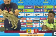 【悲報】　ブラジル代表、記者会見に乱入した猫を「残酷に始末」してしまう・・・