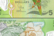 フィジーの紙幣のデザインが可愛らしい