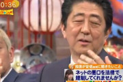 安倍総理が４年前『ワイドナショー』で語ったインターネット誹謗中傷論の動画！「